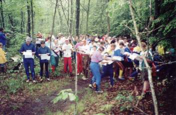 a crowd of orienteers in a wooded area, glancing at their maps